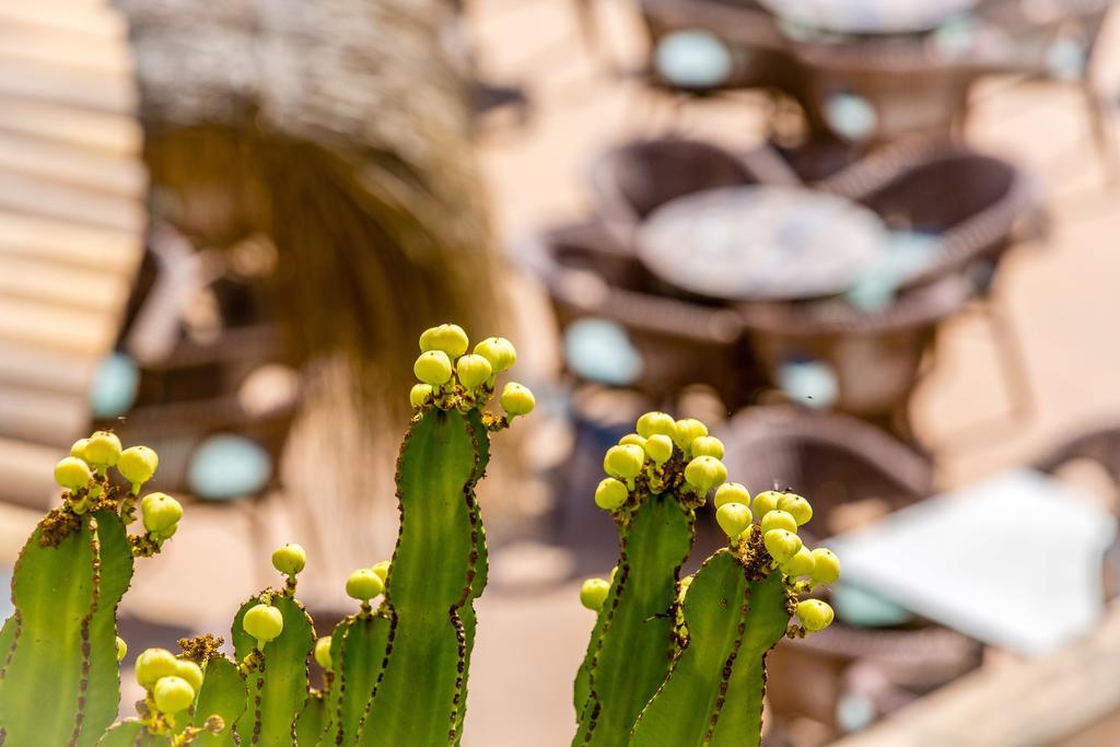 Hotel Playas De Paguera パゲラ エクステリア 写真